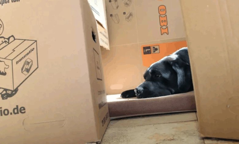 عشرة أشياء لا يمكن أن يسألك عنها أصحاب العقارات في ألمانيا كمستأجر